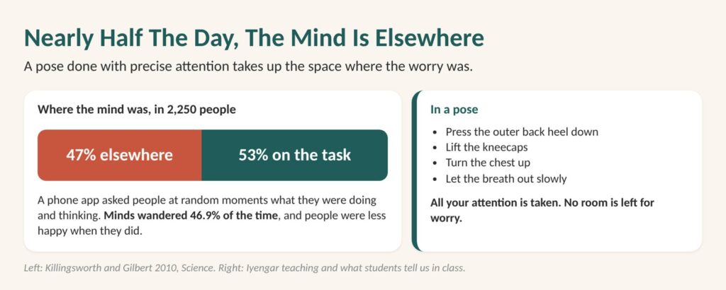 Diagram: in a Harvard study of 2,250 people, minds wandered 46.9% of the time; a yoga pose done with precise attention leaves no room for worry