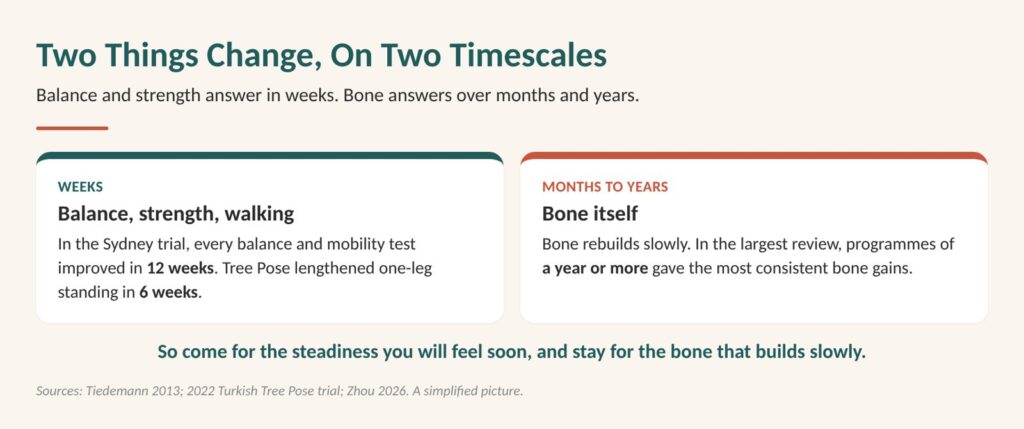 Diagram: balance, strength and walking answer in weeks, while bone answers over months and years