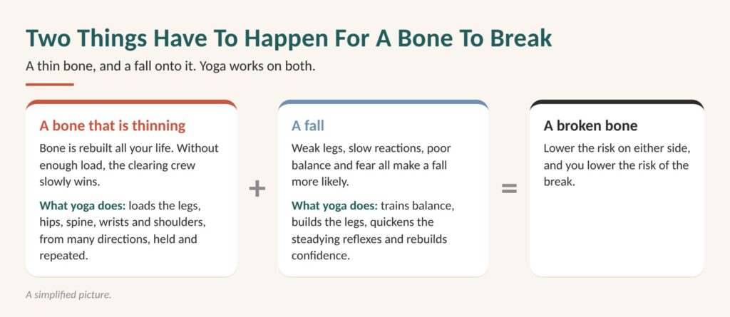 Osteopenia vs osteoporosis: diagram showing a bone breaks when two things happen together, a thinning bone and a fall