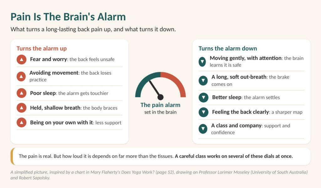 Diagram: pain is the brain's alarm. Fear, poor sleep and a held breath turn it up; gentle movement, a long out-breath and a turn it down