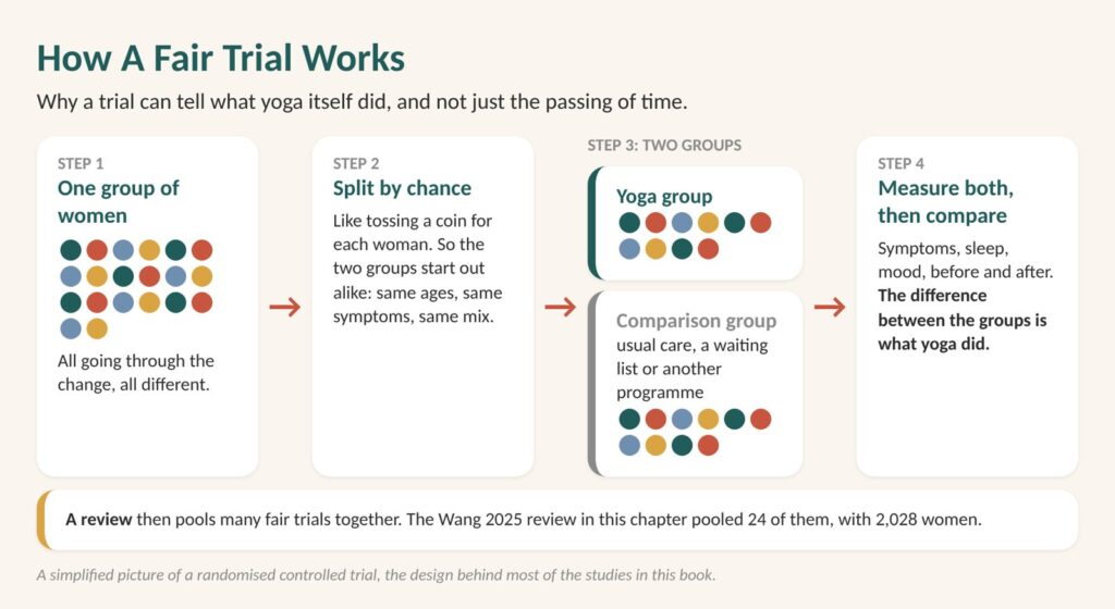 Pelvic floor exercises for women: diagram of how a fair trial works, one group of women split by chance into a yoga group and a comparison group, then measured