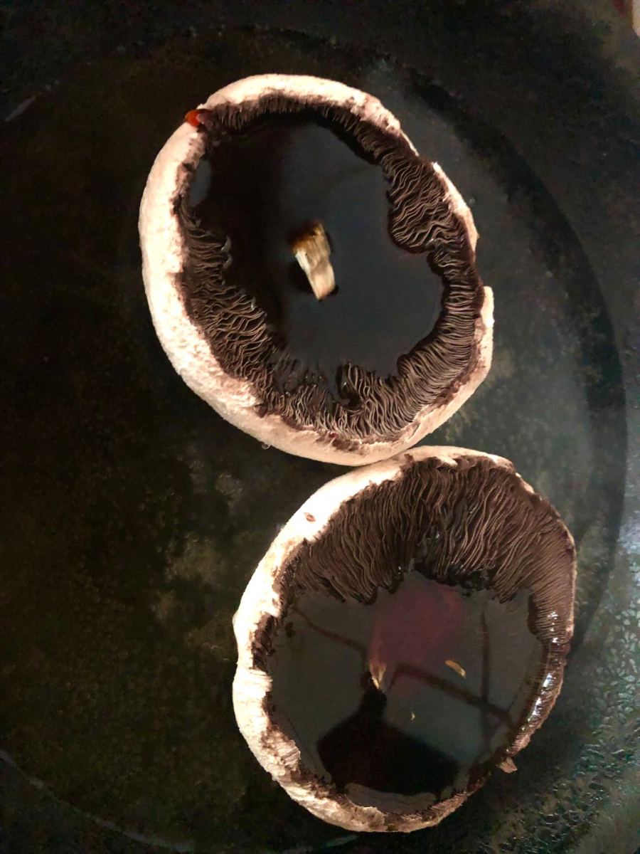 Two poached mushrooms in the pan, dark with tamari and flattened, ready to cool for marinated mushrooms