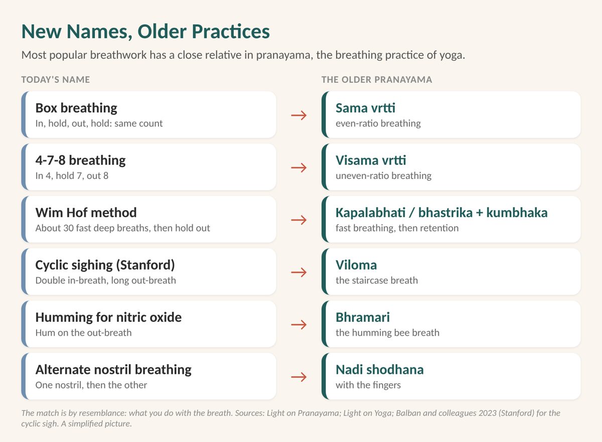 Pranayama and breathwork: diagram matching modern breathwork names to older pranayama practices