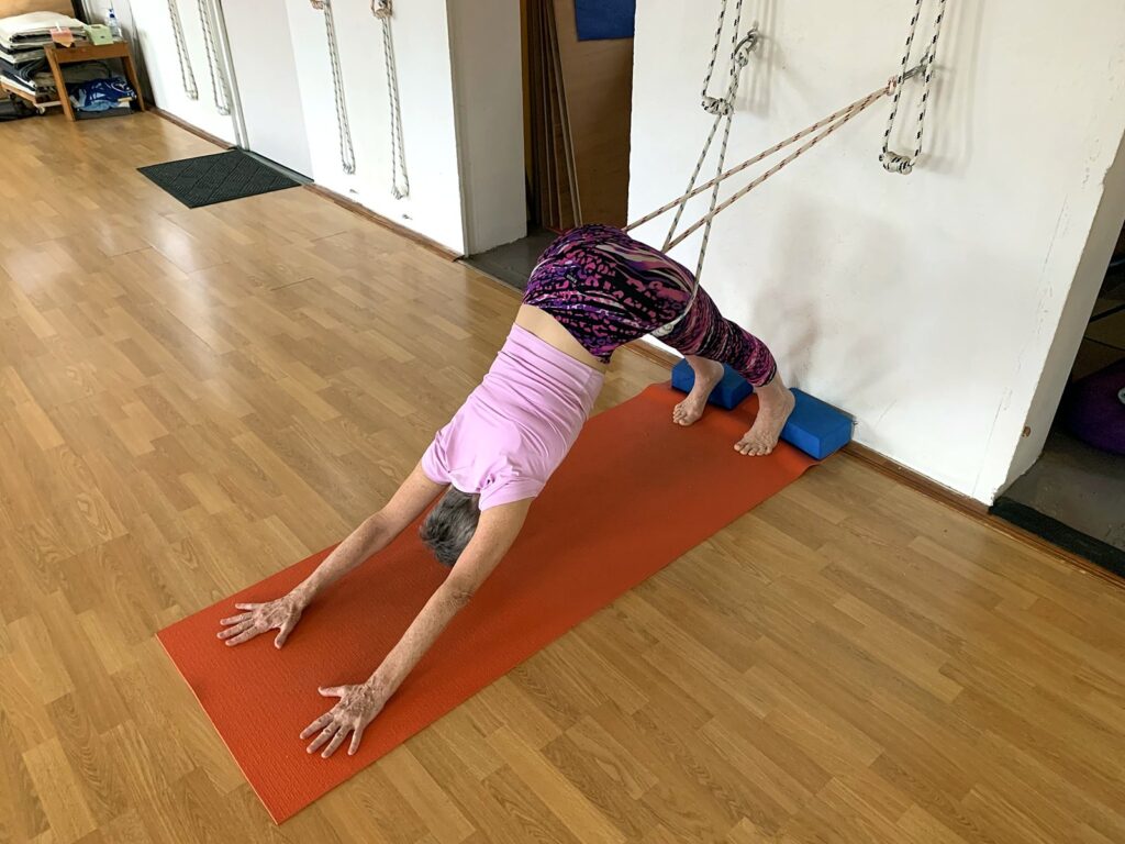 Rope yoga Downward Dog at the Flametree rope wall in Woolner, Darwin