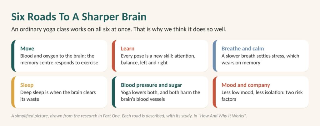 Diagram: six roads to a sharper brain. Move, learn, breathe and calm, sleep, blood pressure and sugar, mood and company