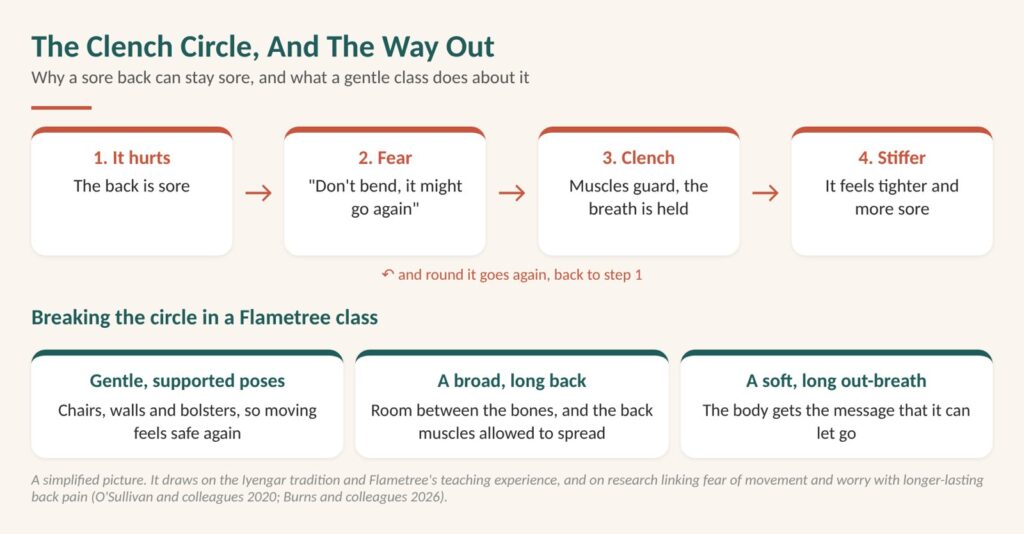Diagram: the clench circle. Pain, fear, clenching and stiffness keep a sore back sore, and a gentle Iyengar breaks the circle