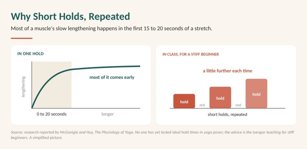Diagram: why short holds, repeated, suit a stiff neck. Most of a stretch's gain comes in the first seconds