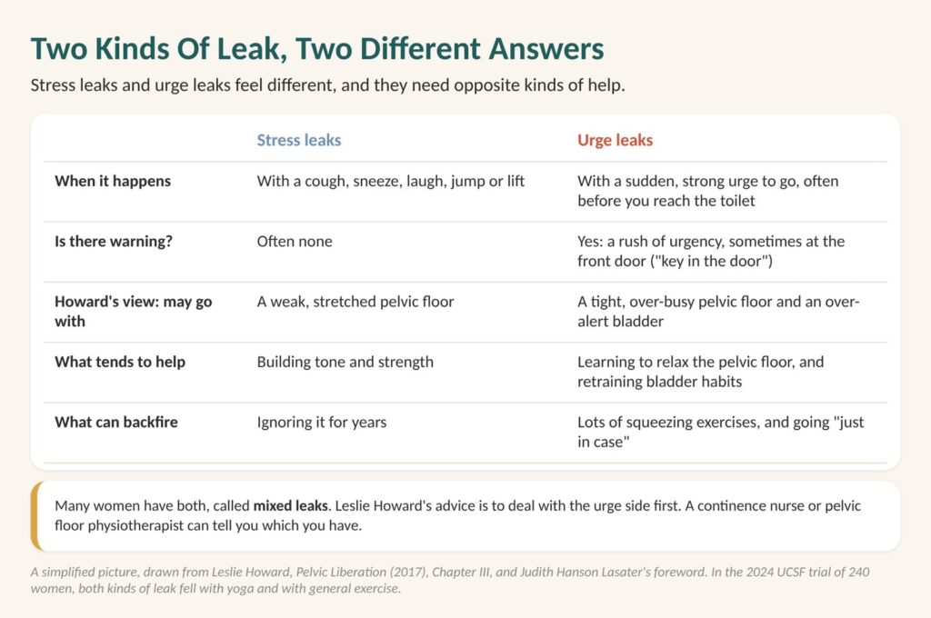Stress incontinence and urge incontinence diagram: leaks with a cough or lift against leaks with a sudden need to go