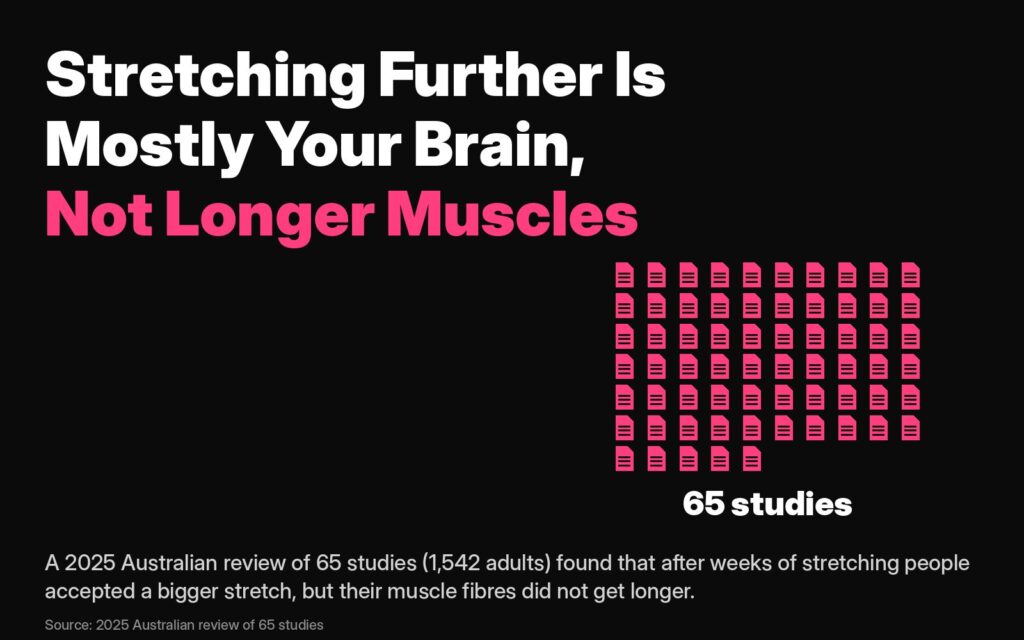 Yoga for stiffness: a 2025 review of 65 studies found people accepted a bigger stretch, but muscle fibres did not get longer
