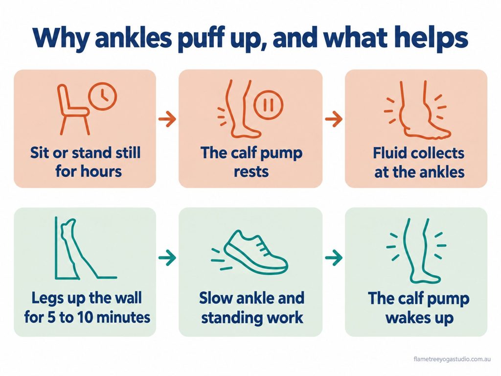 Swollen ankles diagram: sitting still rests the calf pump and fluid collects; legs up the wall and ankle work wake the pump