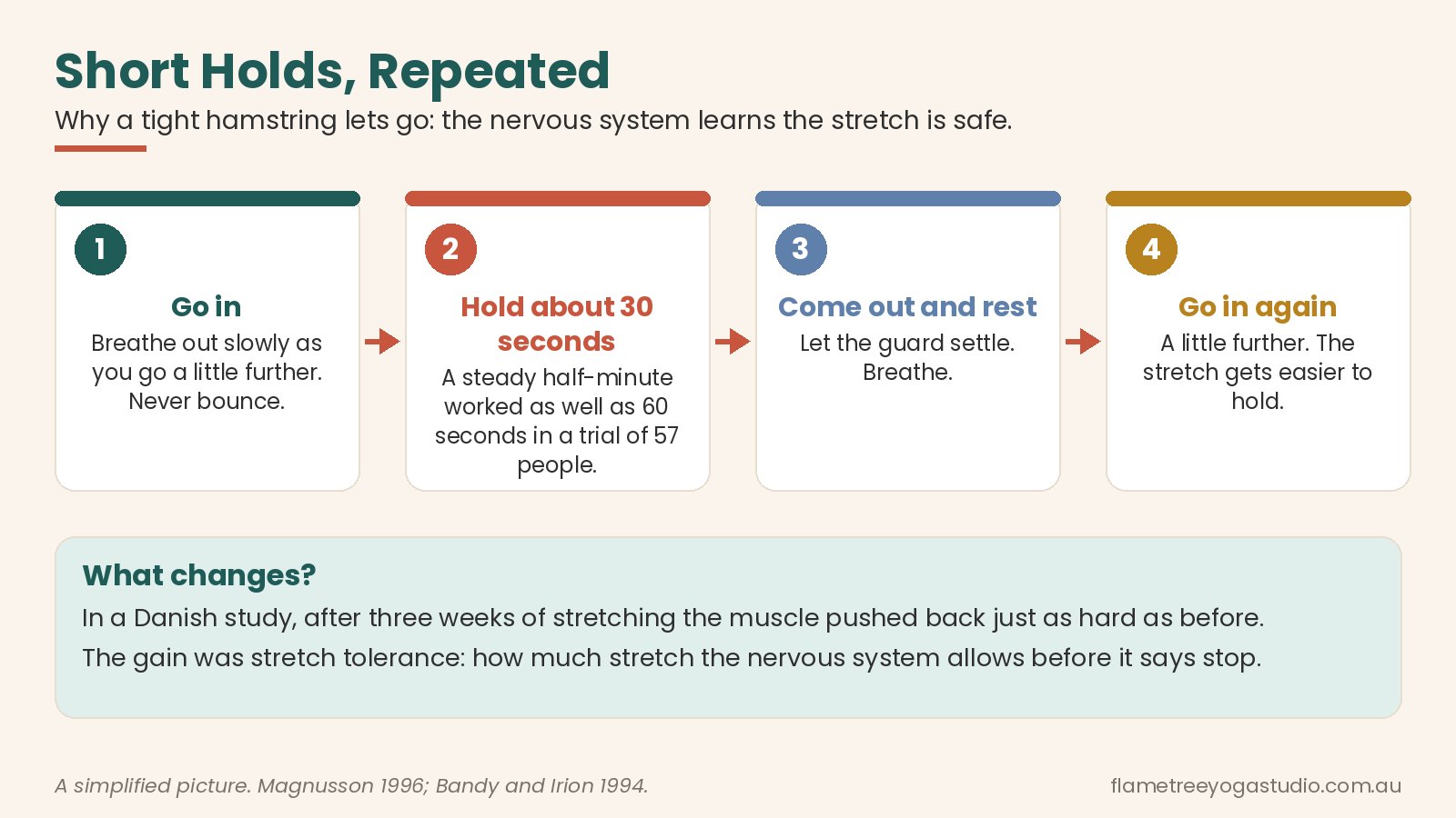 Tight hamstrings diagram: short holds, repeated, loosen a hamstring better than one long strain