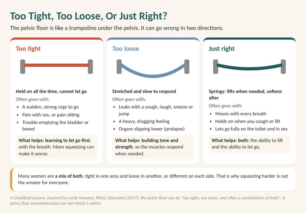 Tight pelvic floor diagram: too tight, too loose or just right. A healthy pelvic floor lifts when needed and lets go fully