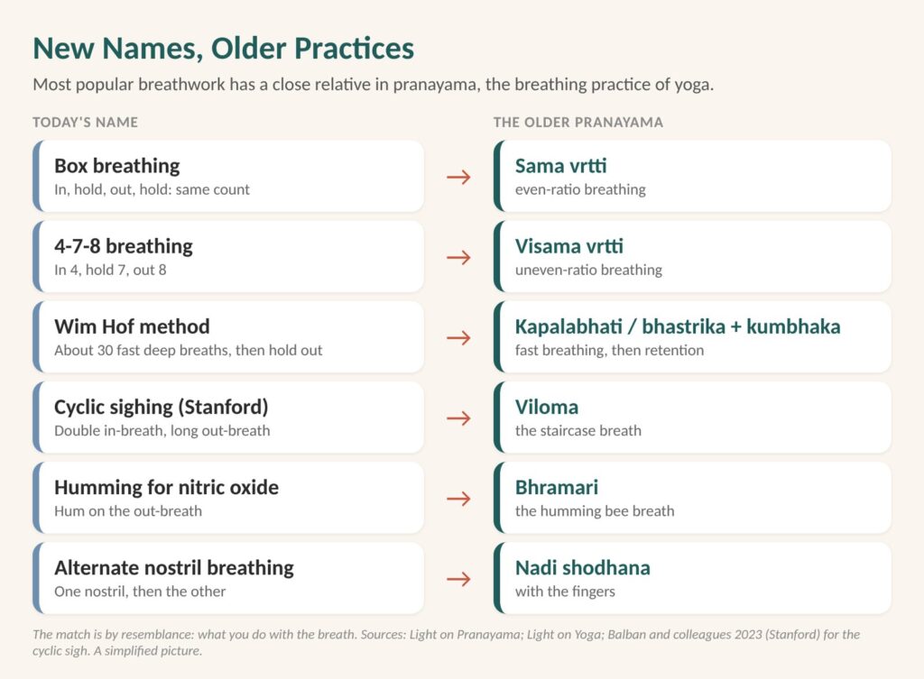 Types of breathwork table: box breathing, 4-7-8, cyclic sighing, humming and alternate nostril breathing beside their older pranayama relatives