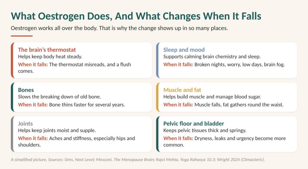 Vaginal dryness at menopause: diagram of what oestrogen does in the body and what changes when it falls, including the pelvic floor and bladder