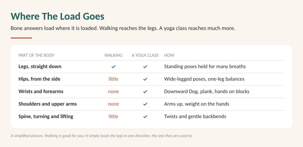 Weight bearing exercise for bones: diagram of where the load goes, walking against standing poses, weight on the hands and twists