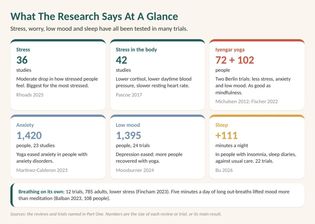Yoga and GABA: chart of what the research says at a glance for stress, anxiety, low mood, sleep and the body, from reviews and Iyengar yoga trials