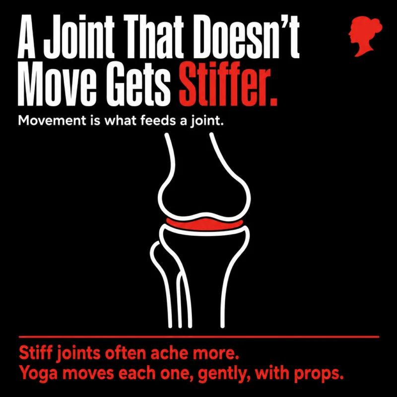 Infographic: a white line-art knee joint with the cartilage between the bones filled red. A joint that doesn't move gets stiffer. Movement is what feeds a joint, and yoga moves each one gently, with props.