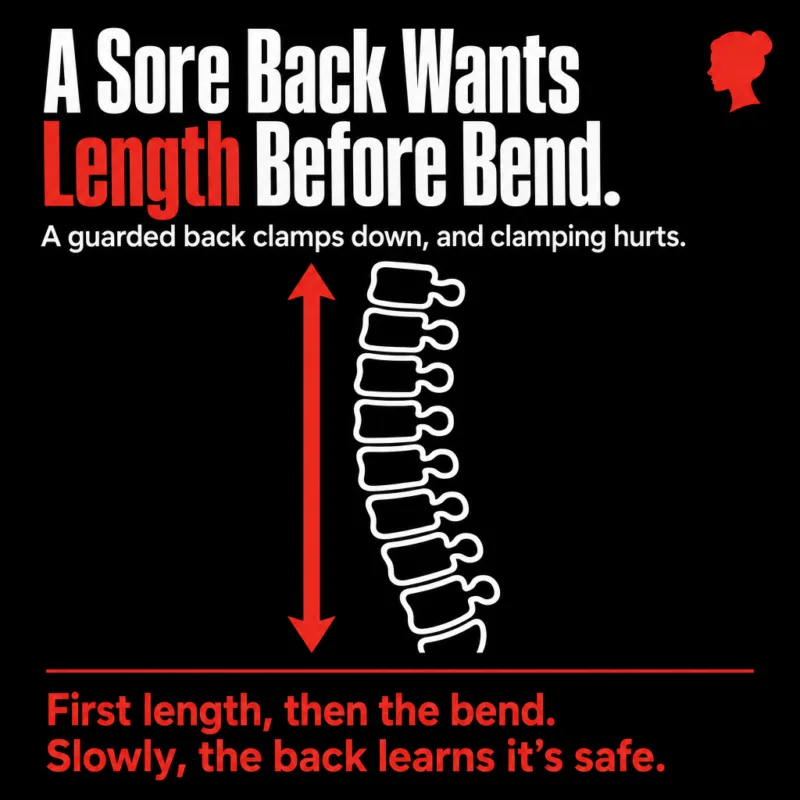 Infographic: a white line-art spine beside a tall red double-headed arrow. A sore back wants length before bend. A guarded back clamps down, and slowly the back learns it is safe to let go.
